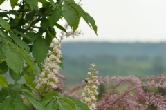 E30B8649-066D-4F5D-8404-BF241745B369
