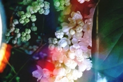 PicsArt_04-24-02.37.25-scaled
