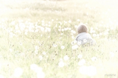 happy-flower-defi-photo-gages-maxime-authier-scaled
