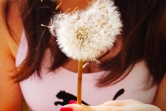 photo_1