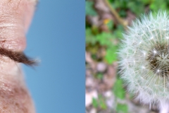 Hazemann-Christophe-Mon-oeil