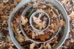DSCN4428