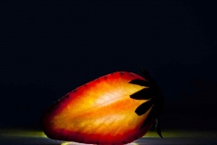 MAX_80782