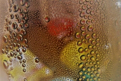 P1070863