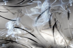 Reveries-Nathalie-Albinet