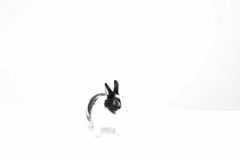 lapin_max2