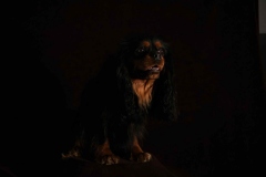 portrait_gratienne2