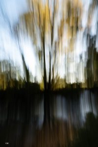 2099-11-10-2025-FLOU-VEROM
