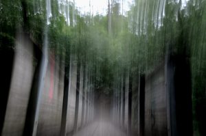 IMG-20251004-WA0039