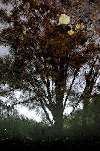 emmanuelle_flou (6)