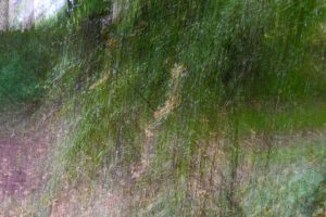 luc_flou (13)