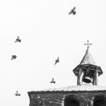 DSC_2132-1 (Personnalisé)