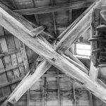 DSC_2200-1 (Personnalisé)