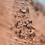 Nath-R-sublimer-le-moche-1 (1)