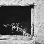 Sublim_isa(1)