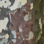Vero-sublimer-le-moche-8